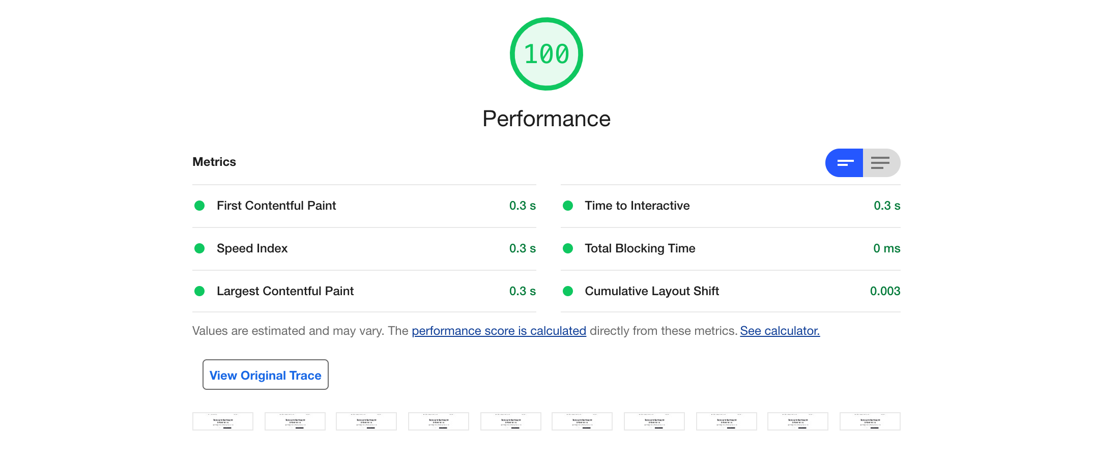 Lighthouse example report